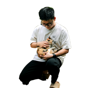 A Young Man Cuddles A Cat While Kneeling In A Picturesque Garden Pathway During Summer. 19894 - Cat PNG image with transparent background